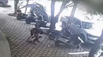 监控:恶贼偷车被抓暴打车主 抓住头就往地上砸