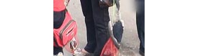 贪婪人类让众鸟迁徙之路变成死亡之路