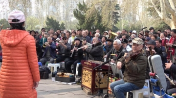 民间好声音，数百老人公园演唱《再唱为了谁》歌声优美，百听不厌！