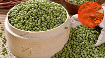 绿豆千万不能跟它一起吃